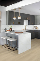 MSI Wayne Parc™Waldron®Luxury Vinyl Planks