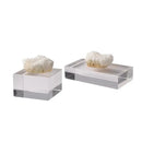 GobekUsa Clear Crystal Coralline Ornaments for Home Decor