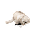 Wooden Cat Step - White