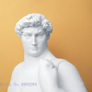 GobekUsa David Obesity Resin Sculpture: Nude Male Figure Art Home Decor Ornament
