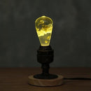 EP Light - White Hydrangea by EP Designlab LLC