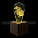 EP Light - White Hydrangea by EP Designlab LLC