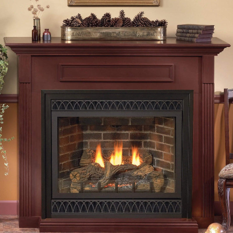 White Mountain Hearth Tahoe Propane Gas Direct Vent Deluxe Fireplace With Switch And Blower [DVD36FP] (SAK98471)