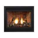 White Mountain Hearth Tahoe Propane Gas Direct Vent Premium Fireplace W/ Multi Function Control, 48" [DVP48FP91P] (SAK19347)