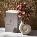 GobekUsa Conch Ceramic Vase for Aesthetic Desk Decor and Flowers Arrangement