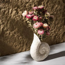 GobekUsa Conch Ceramic Vase for Aesthetic Desk Decor and Flowers Arrangement