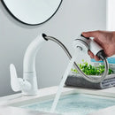GobekUsa Lift-Up Bathroom Sink Faucet Chrome Finish 360-degree Rotation Water Mixer