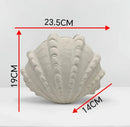 Ceramic Clam Shell Vase for Terrarium Arrangements and Modern Home Decor