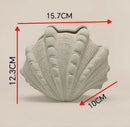 Ceramic Clam Shell Vase for Terrarium Arrangements and Modern Home Decor