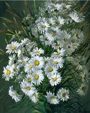 White Roses Daisies