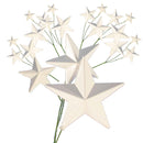 White Star Pick Ornaments