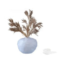 GobekUsa Glass Pleats Vase for Hydroponics and Flower Arrangement