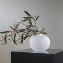 GobekUsa Glass Pleats Vase for Hydroponics and Flower Arrangement