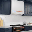 Akicon 36" Stainless Steel Wall Mount Range Hood with 600 CFM Vent Hood - AK-HS36HA-SW