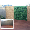 Sample Panel – White Oasis Vertical Garden (Small Sample) by Designer Plants USA