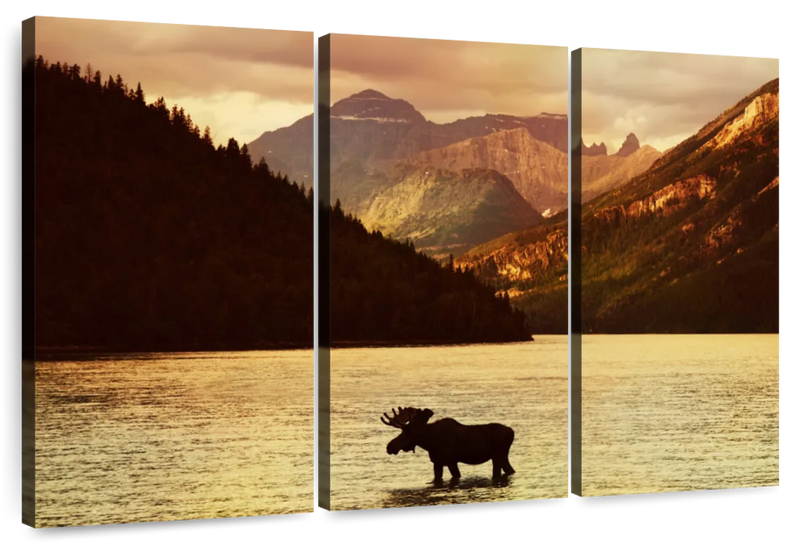 Lake Moose Wall Art