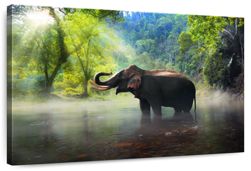 Wild Elephant Wall Art