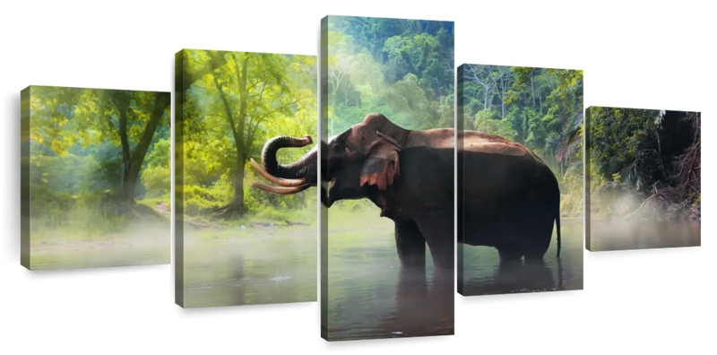 Wild Elephant Wall Art