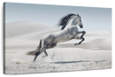 Mighty Arabian Horse Wall Art