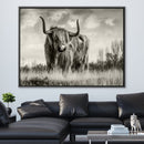 Wild Cow Canvas