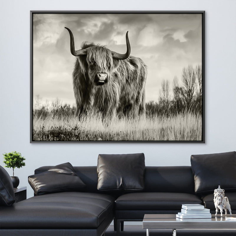 Wild Cow Canvas