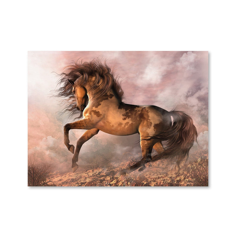 Wild Spirit Canvas