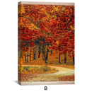 Window to Autumn Canvas