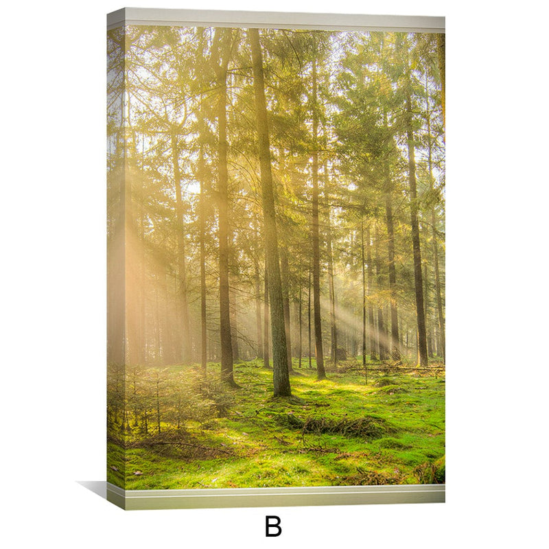 Window to Forestry Canvas