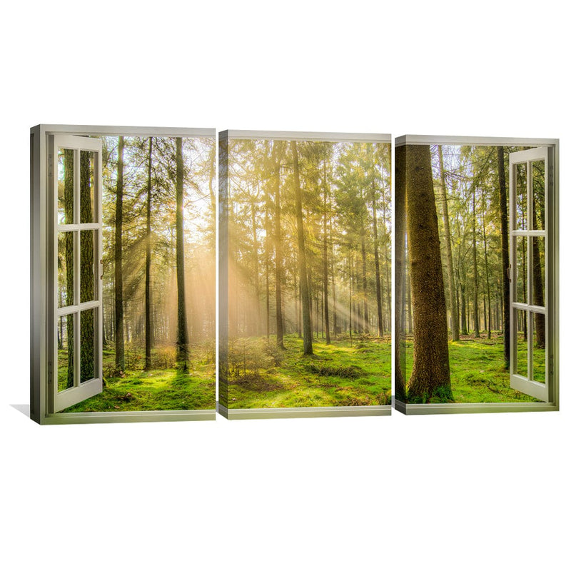 Window to Forestry Canvas