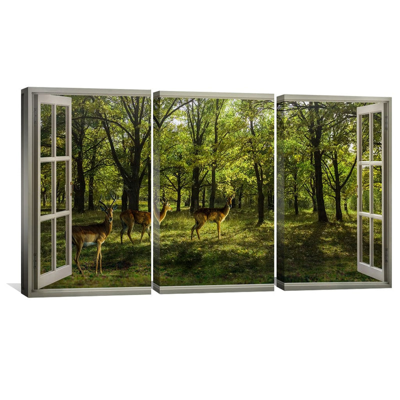 Window to the Fawn Canvas