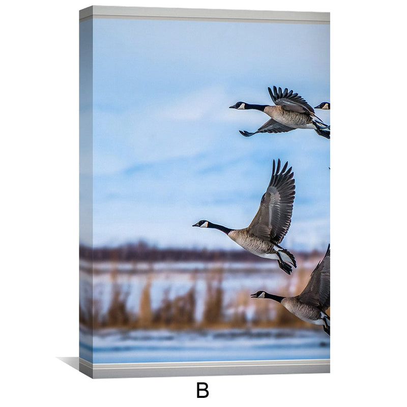 Window to the Geese Canvas