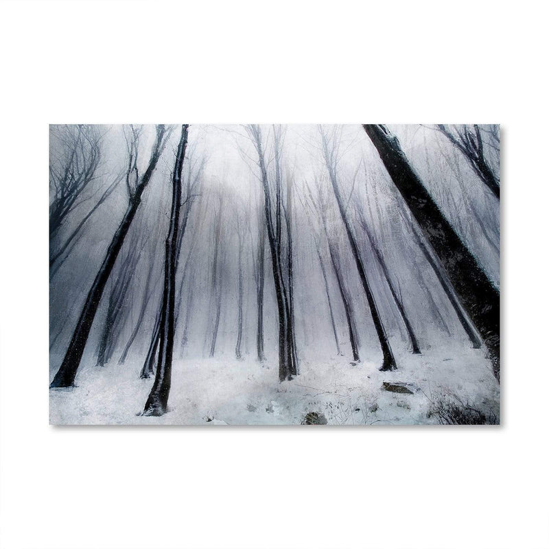 Winter Heights Canvas