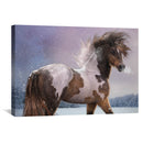 Winters Heart Canvas