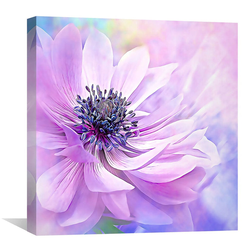 Wispy Purple Anemone Canvas