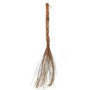 Witches Broom by Lee Display