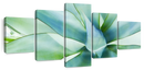 Agave Leaves Wall Art