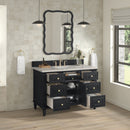 James Martin Lorelai 48" Single Bathroom Vanity, Black Onyx