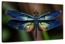 Prismatic Dragonfly Wall Art