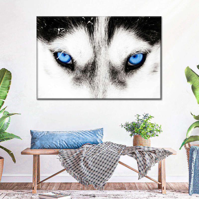 Husky's Eyes Wall Art