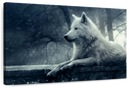 Arctic Wolf Wall Art