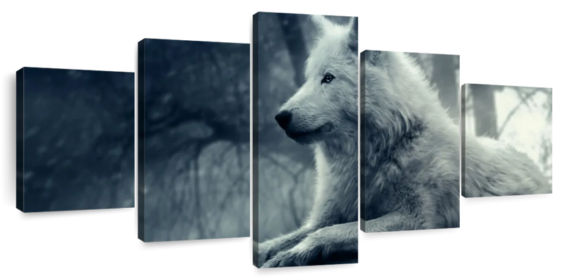 Arctic Wolf Wall Art