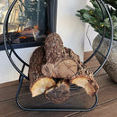Black Iron Loop Fireplace Log Holder by Decor Steals