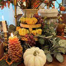 Pine Wood Risers, Set of Two by Decor Steals