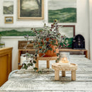 Pine Wood Risers, Set of Two by Decor Steals