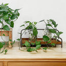 Distressed Iron and Wooden Trays with Handles, Set of 2 by Decor Steals