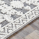 Ware Outdoor Rug - Clearance