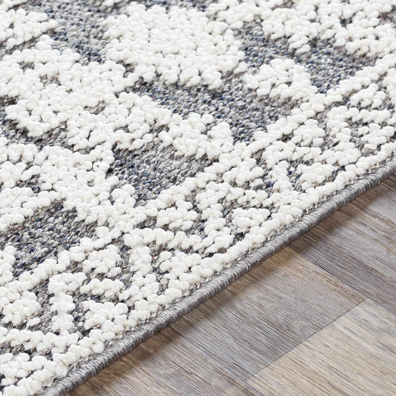 Ware Outdoor Rug - Clearance
