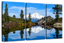 Mount Shasta Heart Lake Wall Art