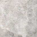 Wynwood Gray Brushed Marble Pavers Swatch