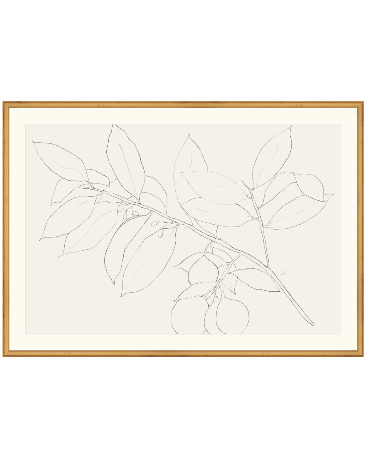 Lemon Branch Drawing, photo 17 of 42